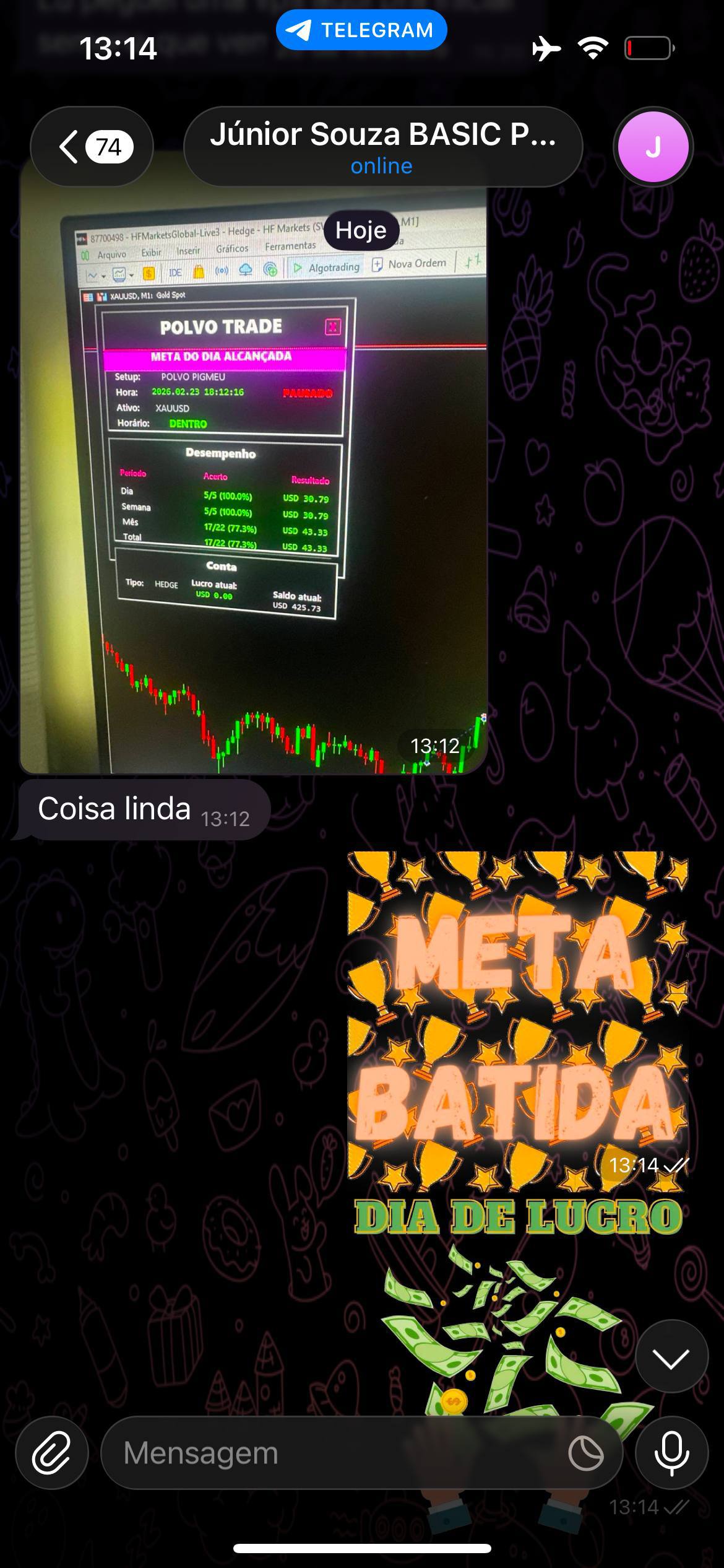 Meta do dia